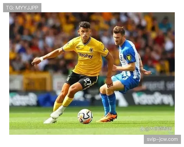 狼队进攻端仅入9球 锋无力问题成保级最大障碍